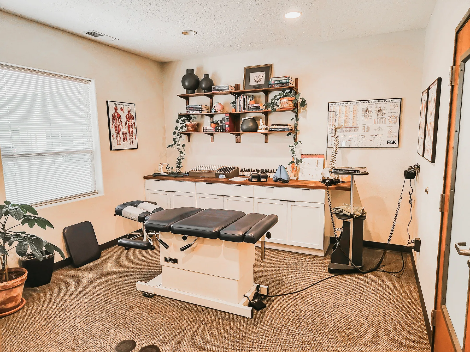 A treatment room at Red Mountain Natural Medicine in Boise, Idaho — an adjusting table with applied-kinesiology reference charts on the wall, the same room Dr. Rostenberg sees patients in every visit