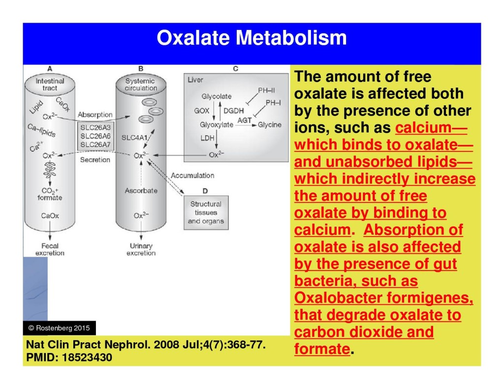 Gut-Oxalate-Absorption-Chart-1024×791